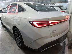 بي واي دي سيل 06 DM-i